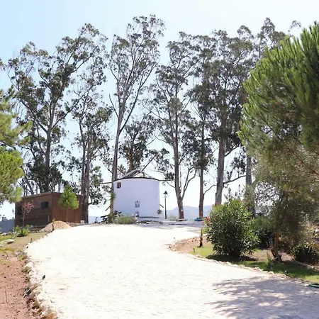 Holiday home Moinho Da Amelia